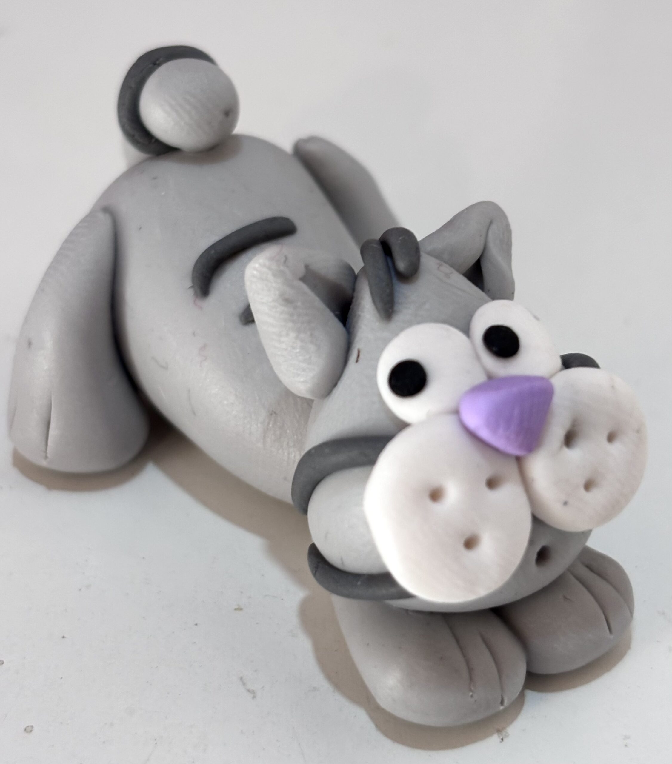 Gatto grigio